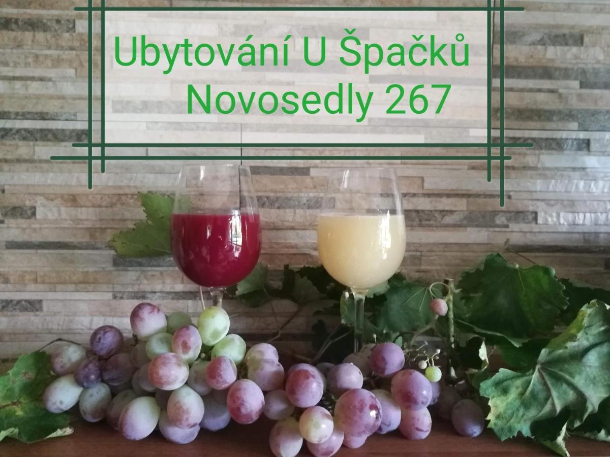 Ubytovani U Spacku Palava Novosedly  Eksteriør billede