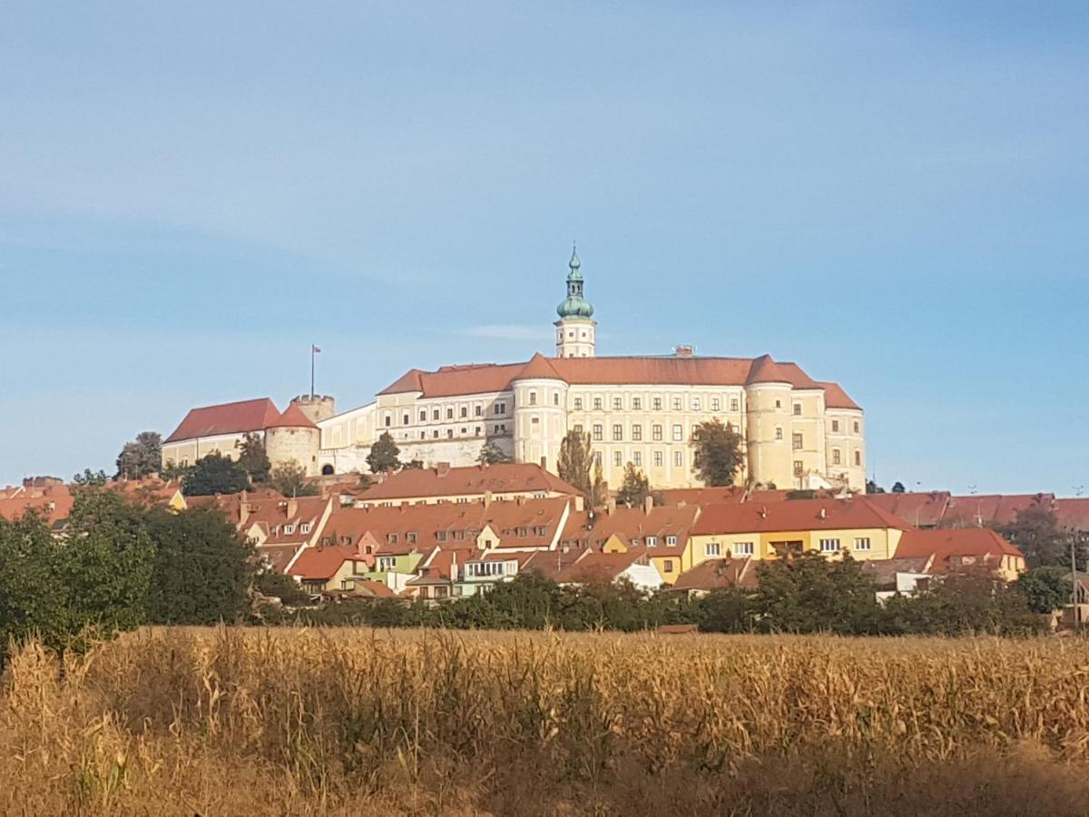 Ubytovani U Spacku Palava Novosedly  Eksteriør billede