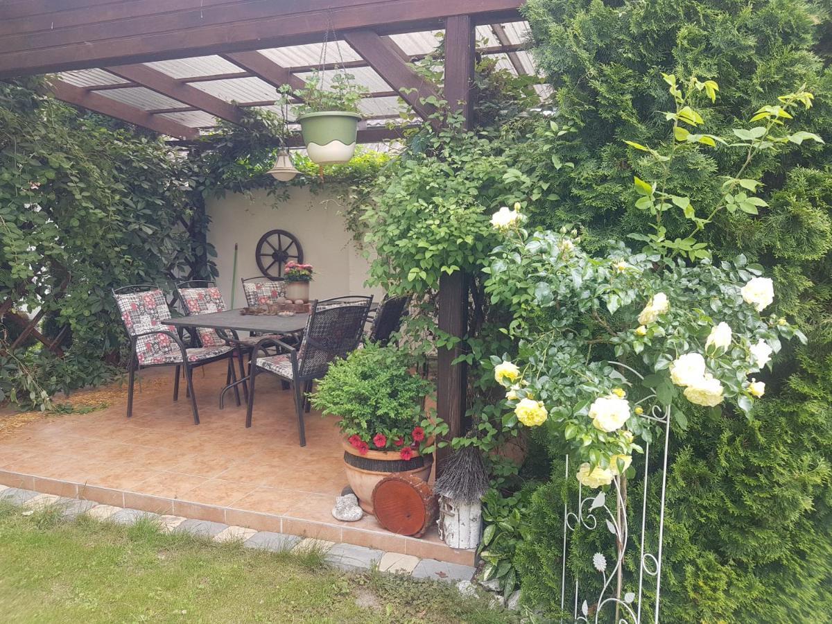 Ubytovani U Spacku Palava Novosedly  Eksteriør billede