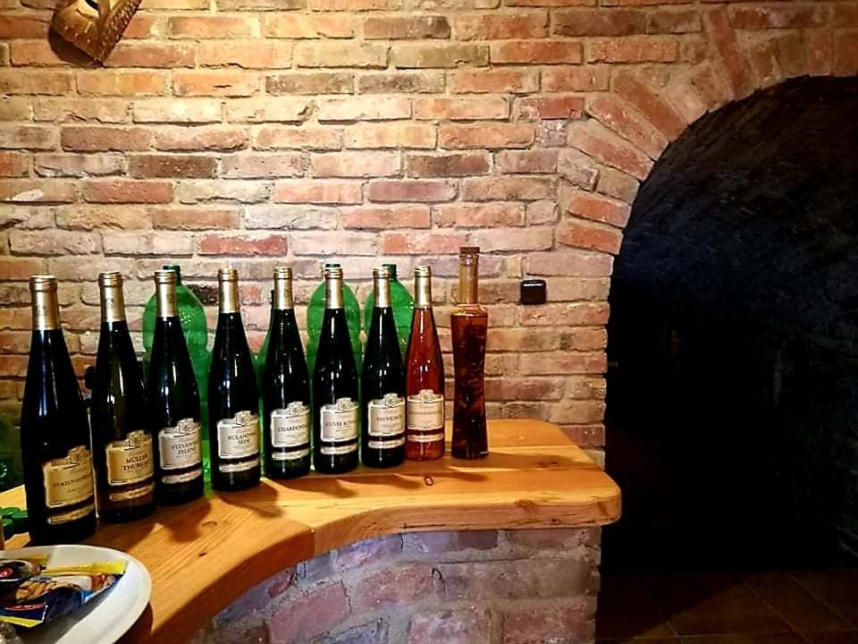 Ubytovani U Spacku Palava Novosedly  Eksteriør billede